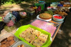20240509_pav_besuchsfahrt_2024_hd_picknick_kurpark_02