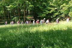 20240509_pav_besuchsfahrt_2024_ulr_wanderung_picknick_kurpark_02