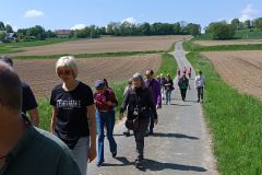 20240509_pav_besuchsfahrt_2024_ulr_wanderung_picknick_kurpark_03