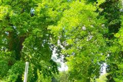 Kurpark Bad Oeynhausen, 27. Mai 2022