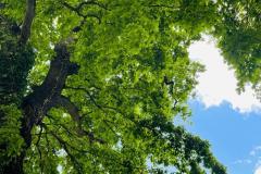 Kurpark Bad Oeynhausen, 27. Mai 2022