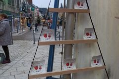 Téléthon 2022 in Aubigny: Markt in der Albinienser Innenstadt zur Weihnachtszeit. (Bild: Vanessa Wolke)
