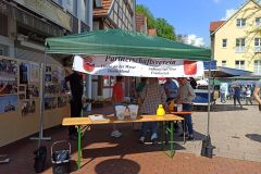 IMG-20230513-WA0002